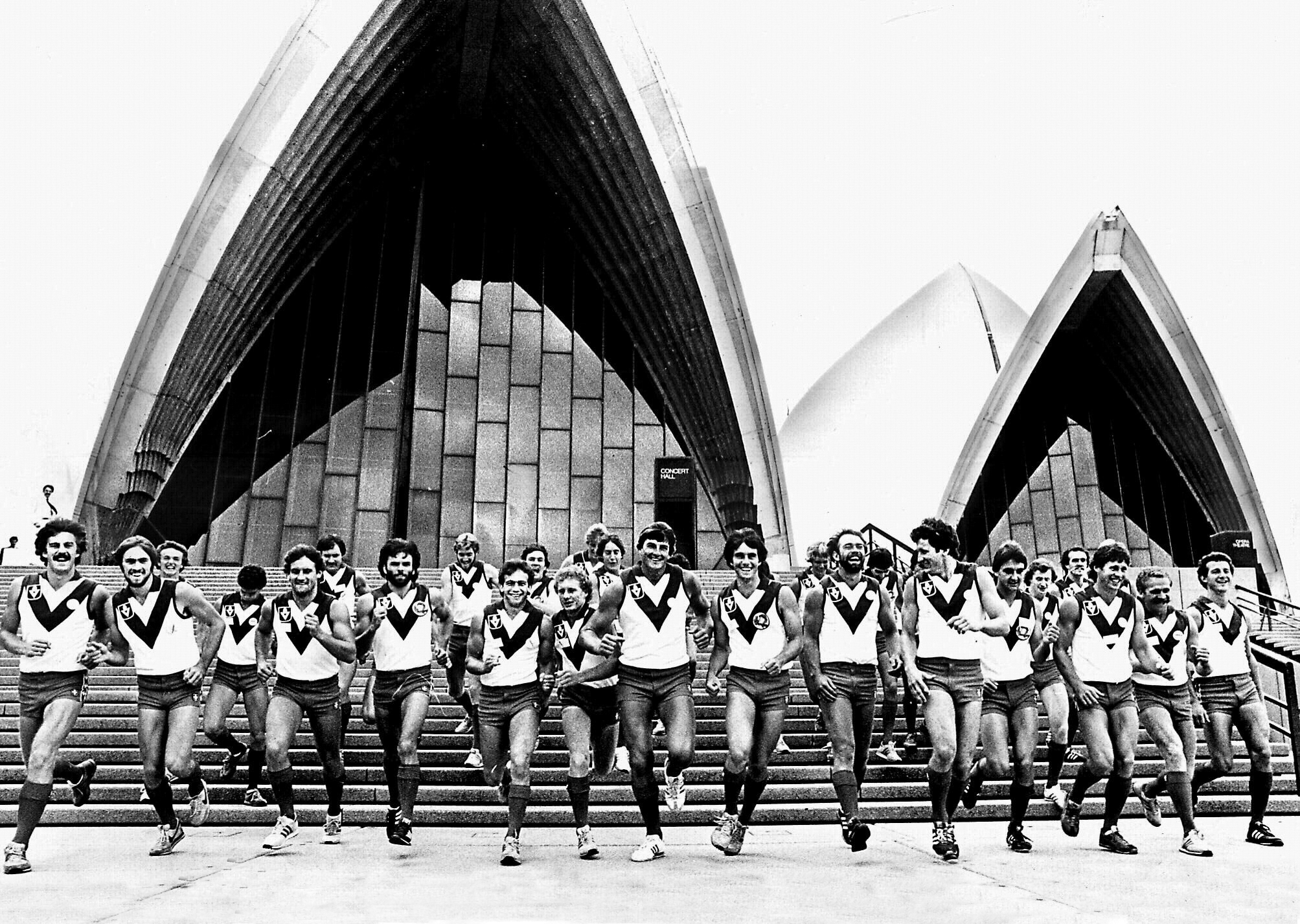 Opera House swans